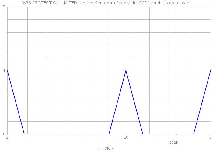 WRS PROTECTION LIMITED (United Kingdom) Page visits 2024 