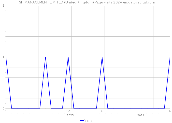 TSH MANAGEMENT LIMITED (United Kingdom) Page visits 2024 