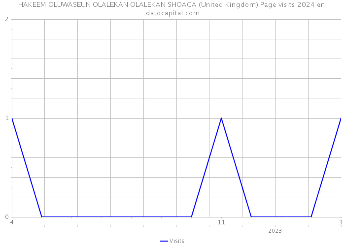 HAKEEM OLUWASEUN OLALEKAN OLALEKAN SHOAGA (United Kingdom) Page visits 2024 