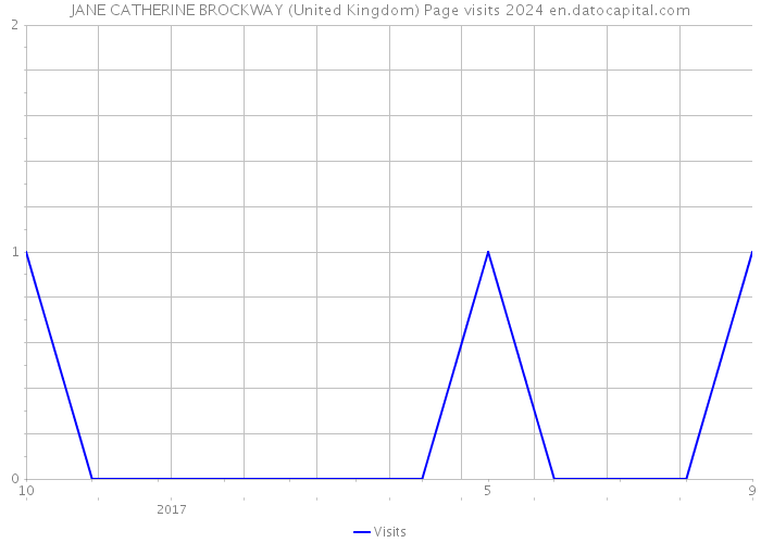 JANE CATHERINE BROCKWAY (United Kingdom) Page visits 2024 