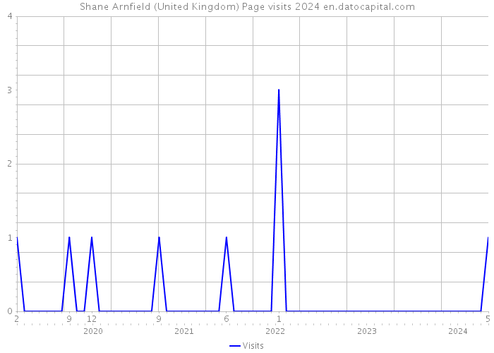 Shane Arnfield (United Kingdom) Page visits 2024 
