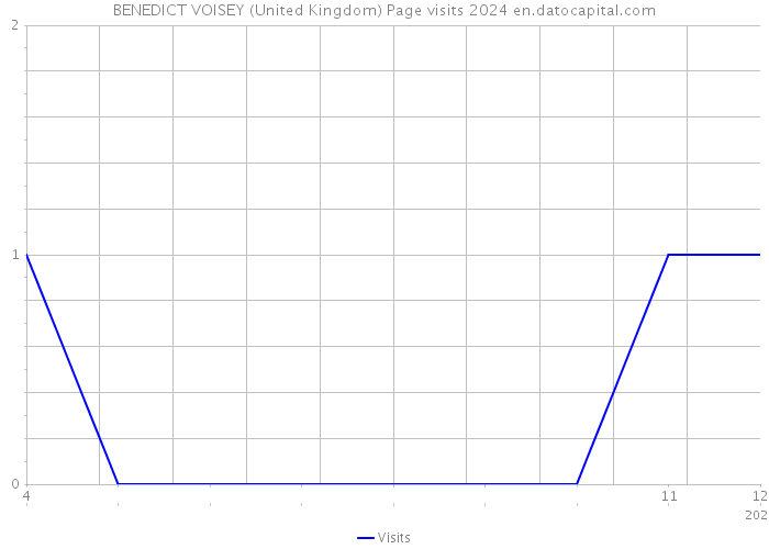BENEDICT VOISEY (United Kingdom) Page visits 2024 