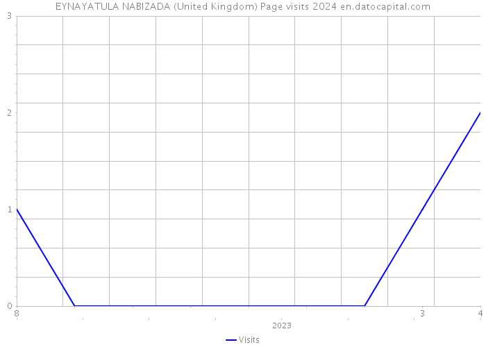 EYNAYATULA NABIZADA (United Kingdom) Page visits 2024 
