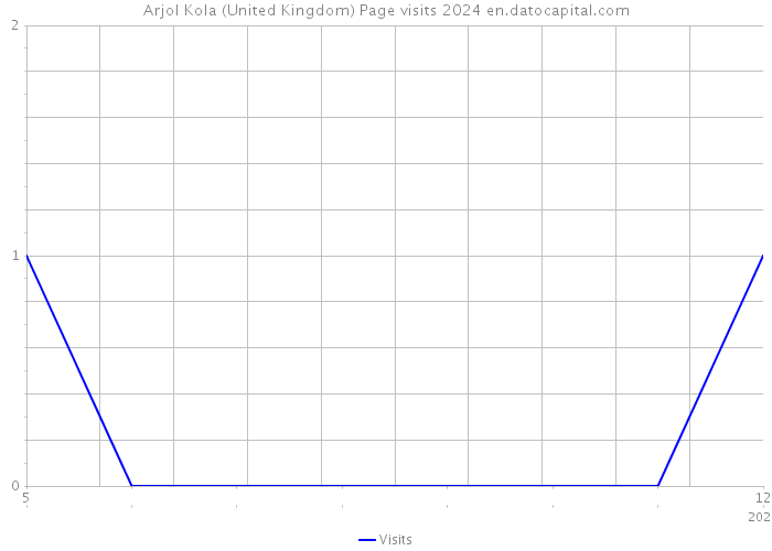 Arjol Kola (United Kingdom) Page visits 2024 