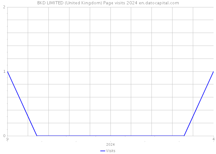 BKD LIMITED (United Kingdom) Page visits 2024 