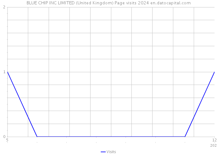 BLUE CHIP INC LIMITED (United Kingdom) Page visits 2024 