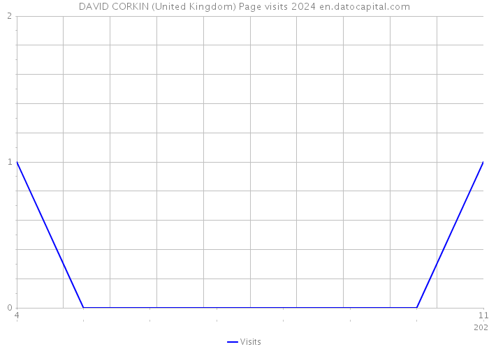 DAVID CORKIN (United Kingdom) Page visits 2024 