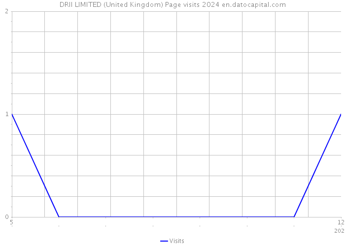 DRII LIMITED (United Kingdom) Page visits 2024 
