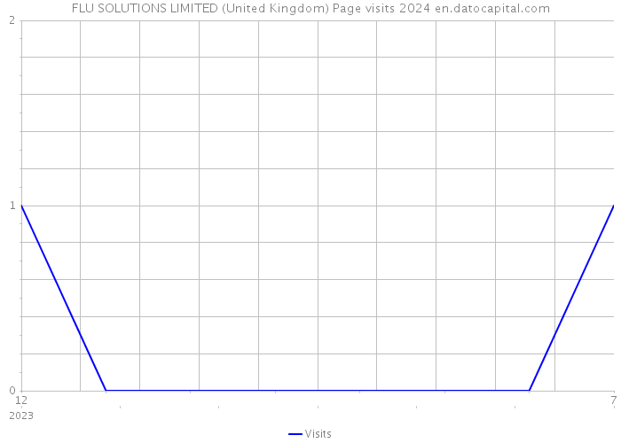 FLU SOLUTIONS LIMITED (United Kingdom) Page visits 2024 