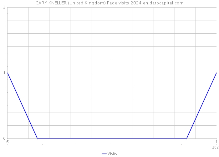 GARY KNELLER (United Kingdom) Page visits 2024 