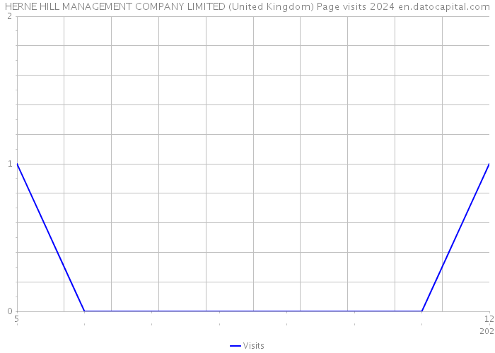 HERNE HILL MANAGEMENT COMPANY LIMITED (United Kingdom) Page visits 2024 