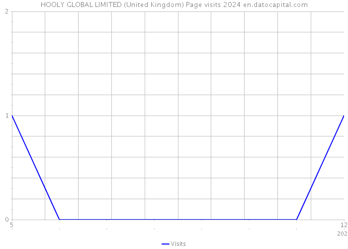 HOOLY GLOBAL LIMITED (United Kingdom) Page visits 2024 