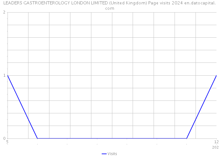 LEADERS GASTROENTEROLOGY LONDON LIMITED (United Kingdom) Page visits 2024 