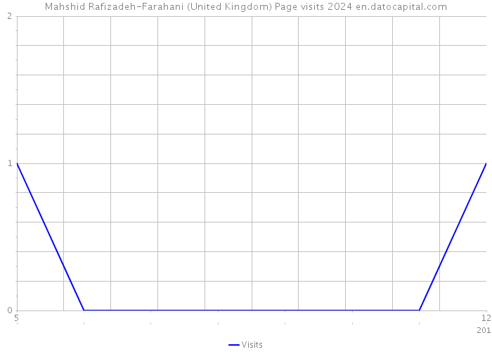 Mahshid Rafizadeh-Farahani (United Kingdom) Page visits 2024 