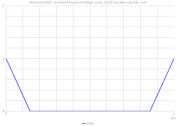 Mimoza Hidri (United Kingdom) Page visits 2024 