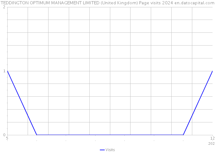 TEDDINGTON OPTIMUM MANAGEMENT LIMITED (United Kingdom) Page visits 2024 