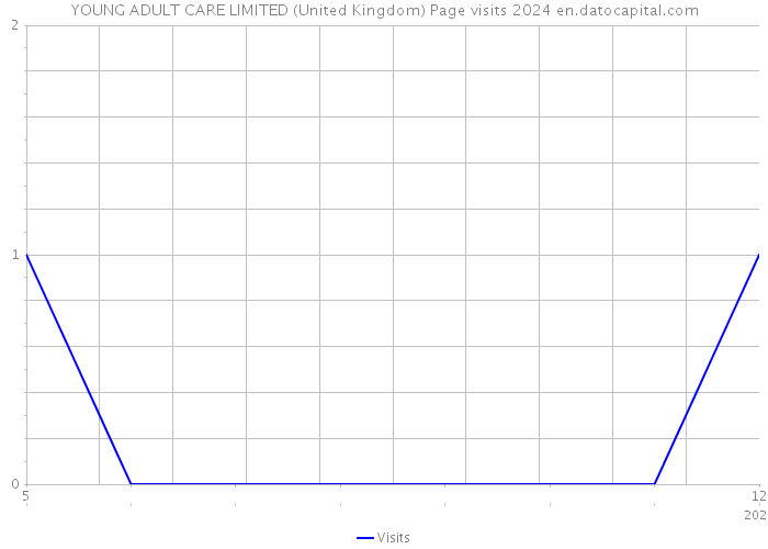YOUNG ADULT CARE LIMITED (United Kingdom) Page visits 2024 