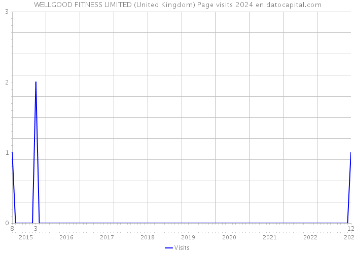 WELLGOOD FITNESS LIMITED (United Kingdom) Page visits 2024 