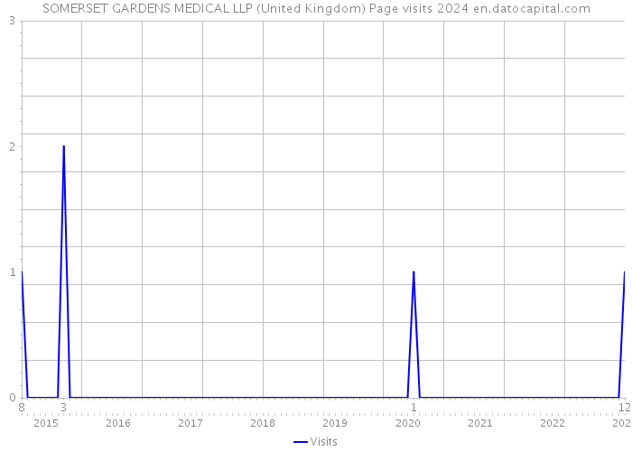 SOMERSET GARDENS MEDICAL LLP (United Kingdom) Page visits 2024 