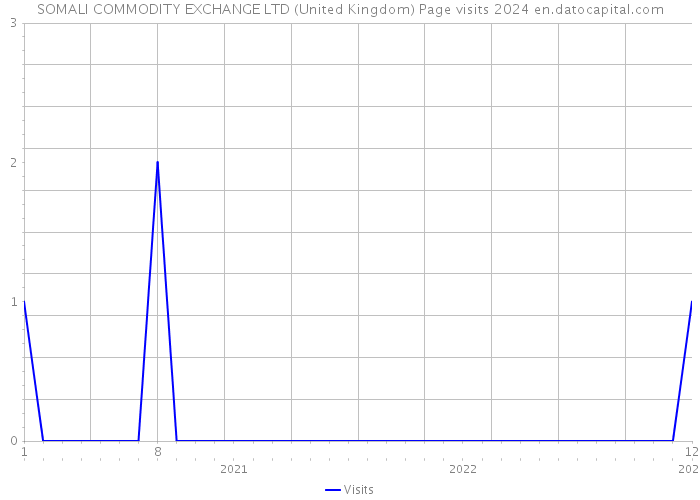SOMALI COMMODITY EXCHANGE LTD (United Kingdom) Page visits 2024 