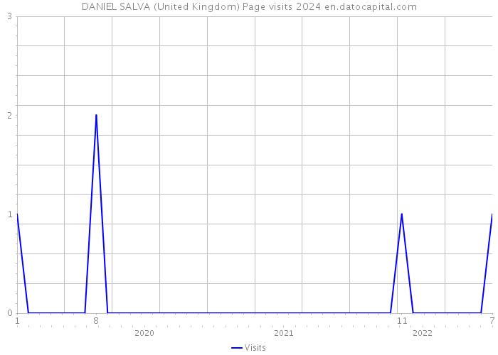 DANIEL SALVA (United Kingdom) Page visits 2024 