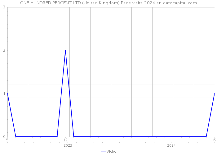 ONE HUNDRED PERCENT LTD (United Kingdom) Page visits 2024 