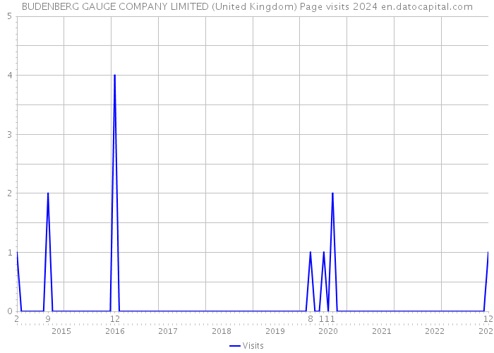 BUDENBERG GAUGE COMPANY LIMITED (United Kingdom) Page visits 2024 