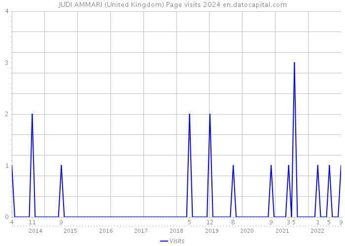 JUDI AMMARI (United Kingdom) Page visits 2024 