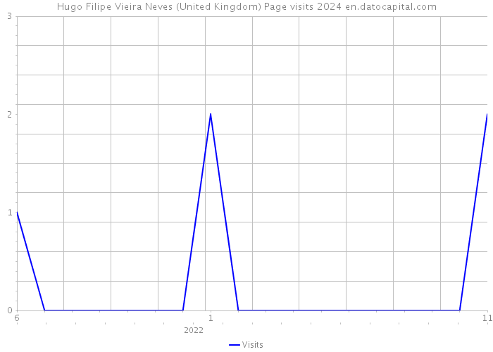 Hugo Filipe Vieira Neves (United Kingdom) Page visits 2024 