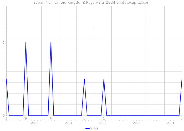 Suban Nur (United Kingdom) Page visits 2024 