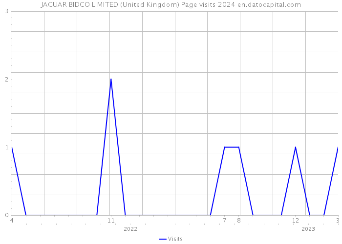 JAGUAR BIDCO LIMITED (United Kingdom) Page visits 2024 
