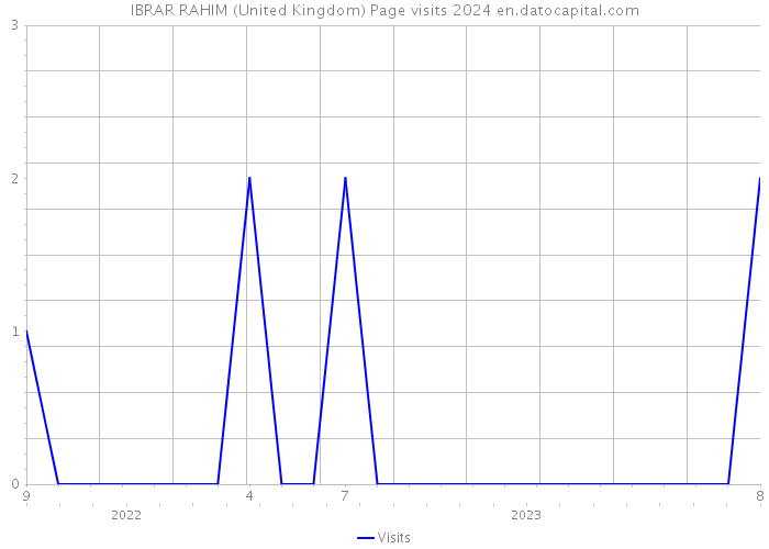 IBRAR RAHIM (United Kingdom) Page visits 2024 