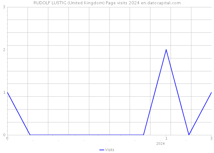 RUDOLF LUSTIG (United Kingdom) Page visits 2024 