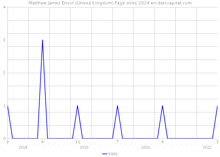 Matthew James Ensor (United Kingdom) Page visits 2024 