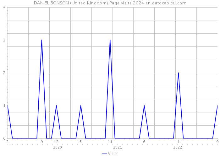 DANIEL BONSON (United Kingdom) Page visits 2024 