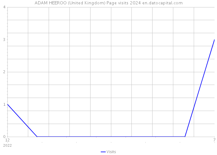 ADAM HEEROO (United Kingdom) Page visits 2024 