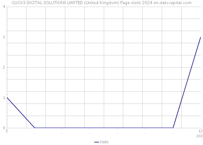 CLICKS DIGITAL SOLUTIONS LIMITED (United Kingdom) Page visits 2024 