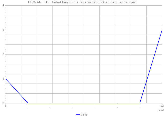FERMAN LTD (United Kingdom) Page visits 2024 