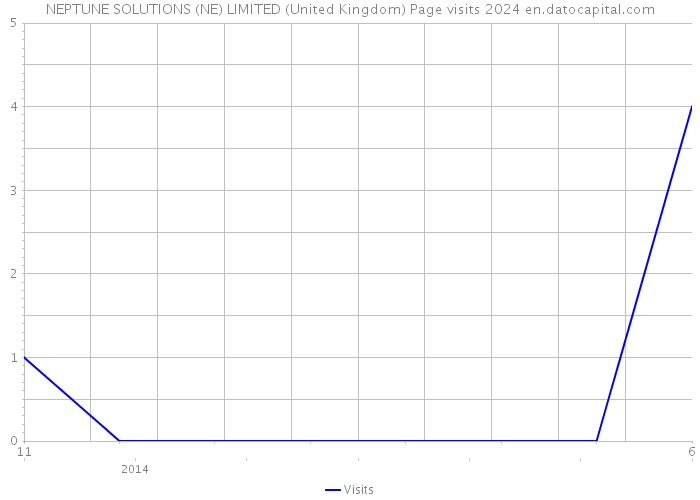 NEPTUNE SOLUTIONS (NE) LIMITED (United Kingdom) Page visits 2024 
