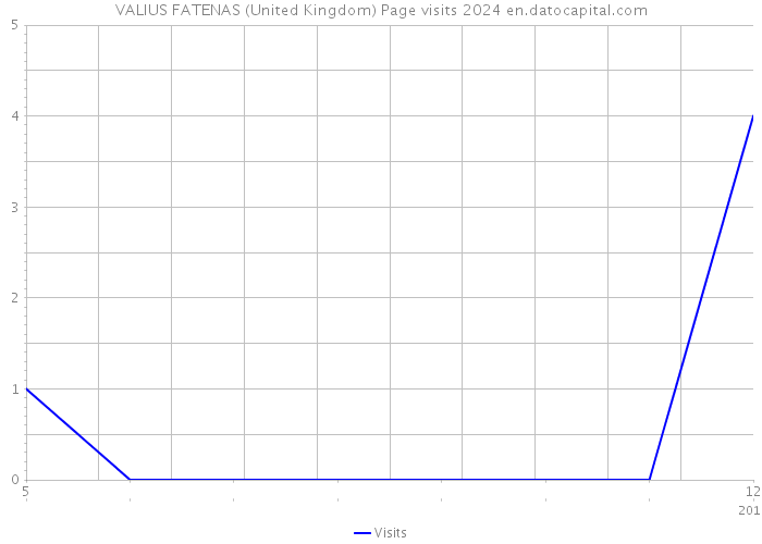 VALIUS FATENAS (United Kingdom) Page visits 2024 