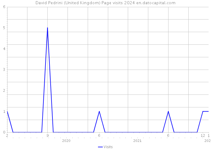 David Pedrini (United Kingdom) Page visits 2024 