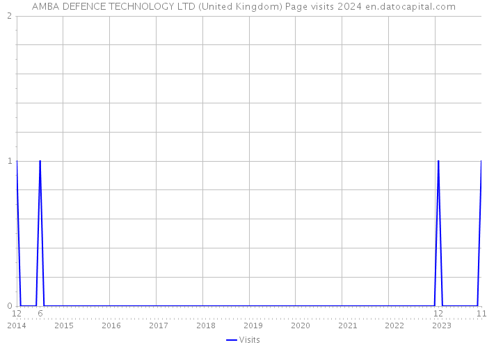 AMBA DEFENCE TECHNOLOGY LTD (United Kingdom) Page visits 2024 