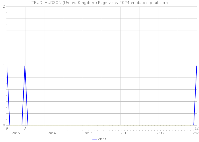 TRUDI HUDSON (United Kingdom) Page visits 2024 