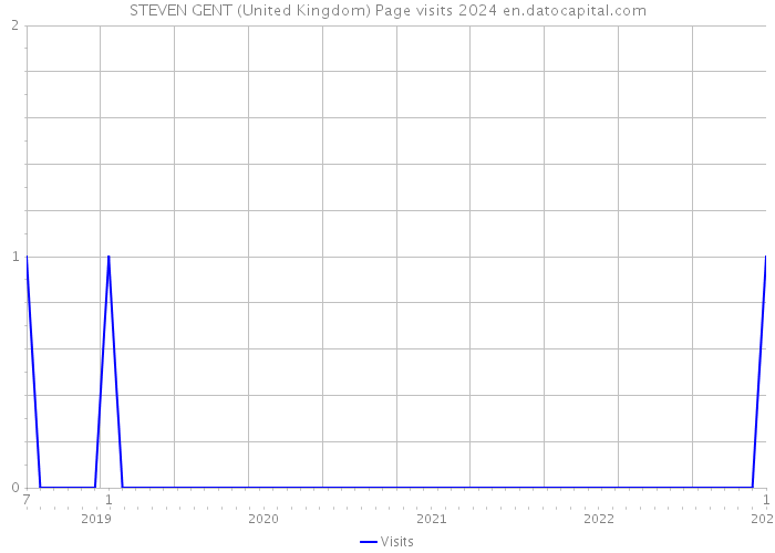 STEVEN GENT (United Kingdom) Page visits 2024 