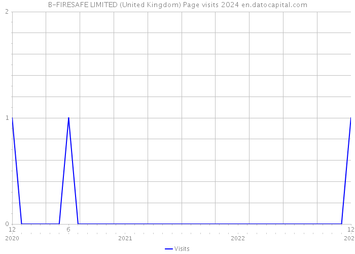 B-FIRESAFE LIMITED (United Kingdom) Page visits 2024 