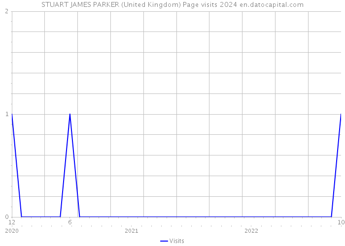 STUART JAMES PARKER (United Kingdom) Page visits 2024 