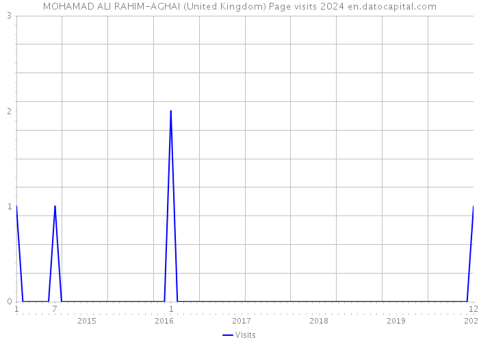 MOHAMAD ALI RAHIM-AGHAI (United Kingdom) Page visits 2024 