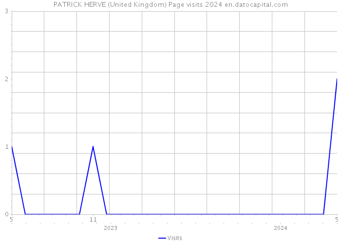 PATRICK HERVE (United Kingdom) Page visits 2024 