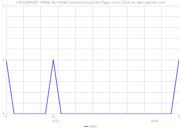 CHOUDHURY AMJID ALI AMJID (United Kingdom) Page visits 2024 