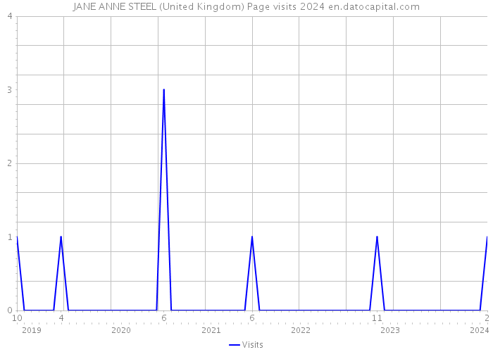 JANE ANNE STEEL (United Kingdom) Page visits 2024 